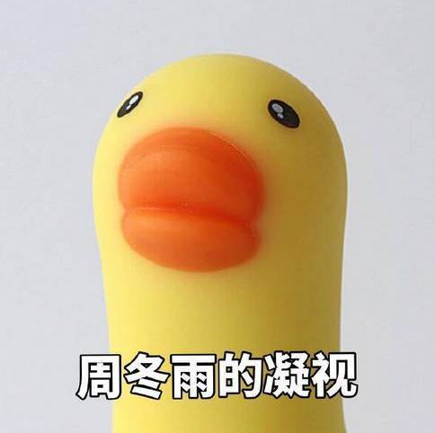 周冬雨的凝视 周冬雨的凝视