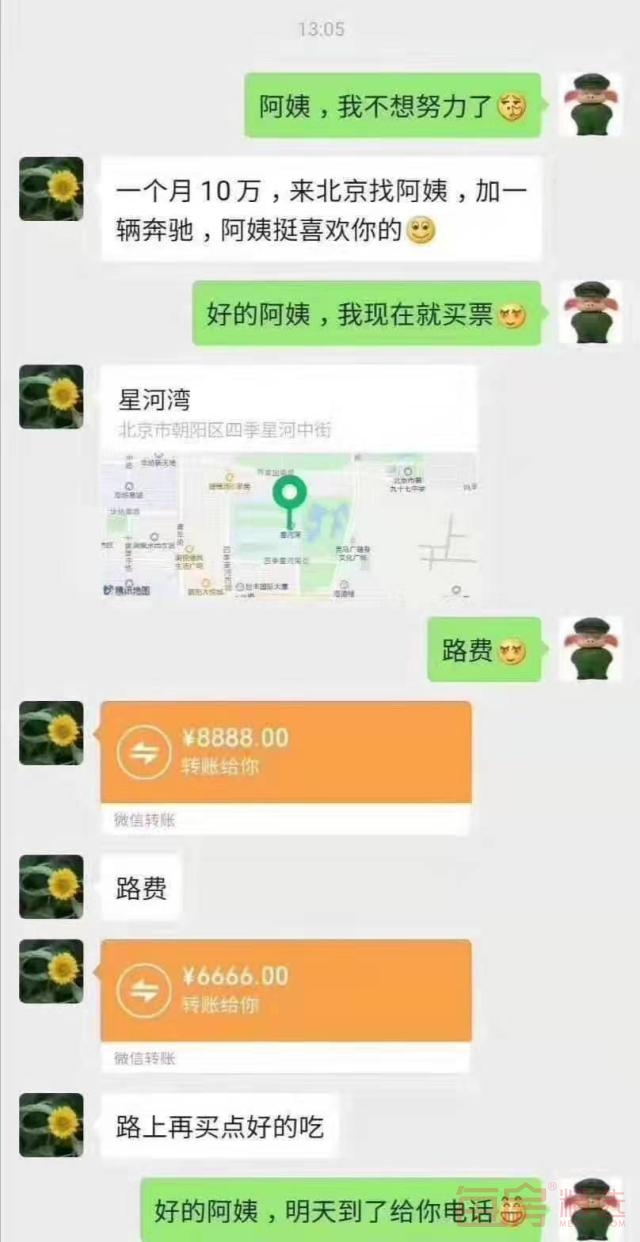 阿姨我不想努力了