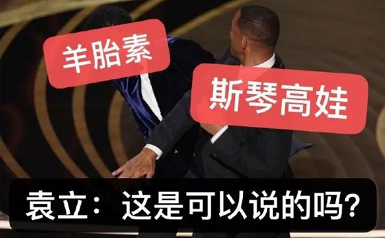 斯琴高娃羊胎素 斯琴高娃羊胎素