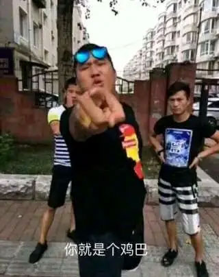 你就是个寄吧 你就是个寄吧