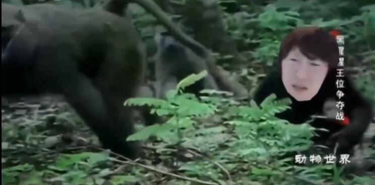 奥利安费 otto倒放的古神语 奥利安费 otto倒放的古神语