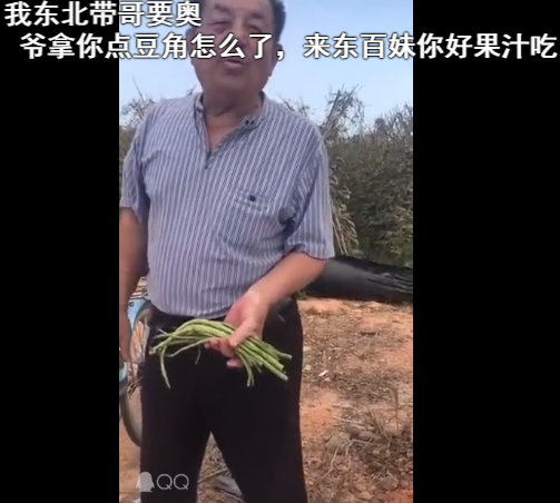 我寻思 出自我寻思这没人要呢 我寻思 出自我寻思这没人要呢