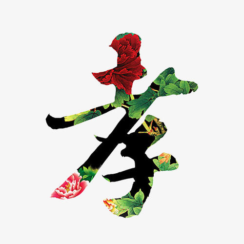 太好孝了 你孝起来真好看 太好孝了 你孝起来真好看