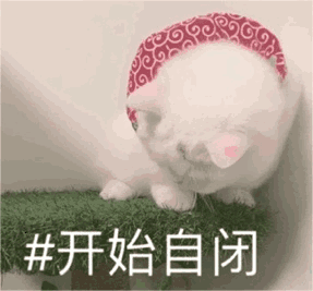 自闭 开始自闭从弹幕到生活 自闭 开始自闭从弹幕到生活