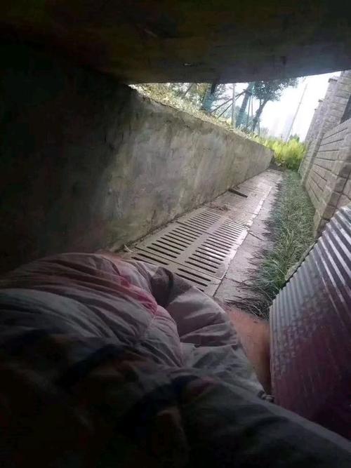 桥洞底下盖小被 小被里面抹眼泪 桥洞底下盖小被 小被里面抹眼泪