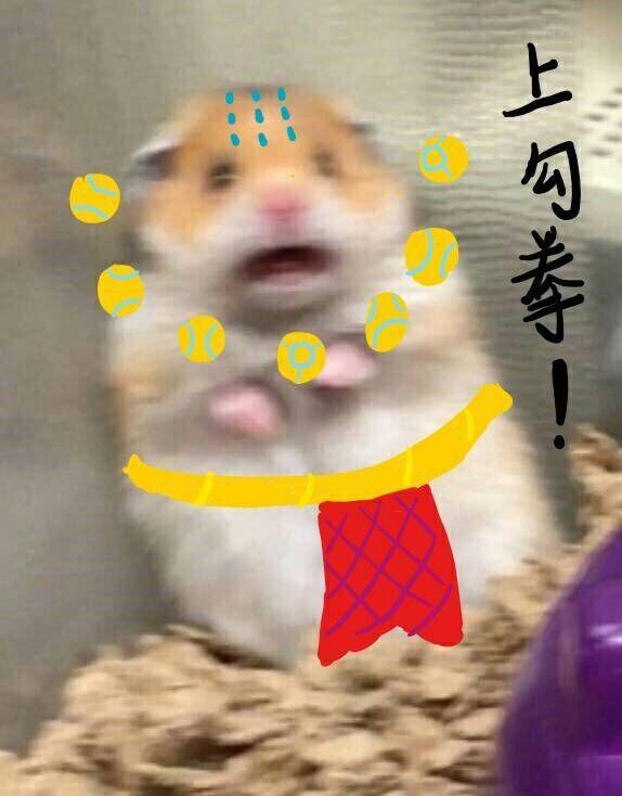 上勾拳表情包分享 上勾拳