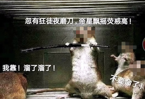 忽有狂徒夜磨刀 这句诗为什么哈人 忽有狂徒夜磨刀 这句诗为什么哈人