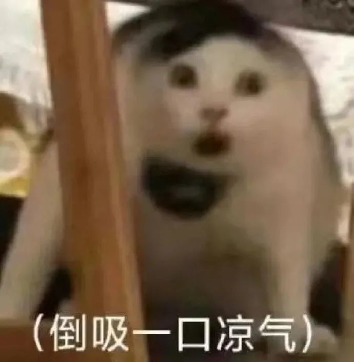 倒吸一口凉气 鉴定为天蚕土豆文风 倒吸一口凉气 鉴定为天蚕土豆文风