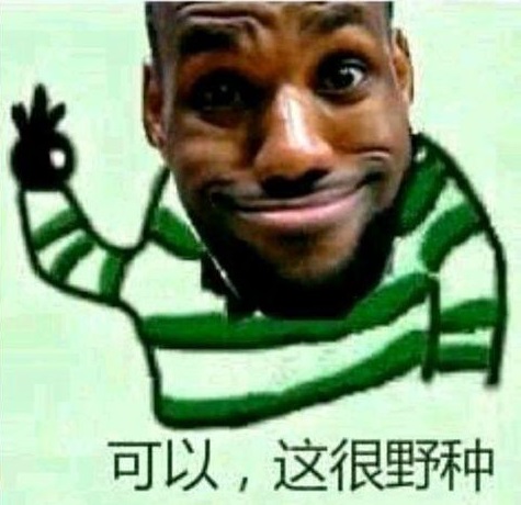 可以,这很野种 数字版为12,3456 可以,这很野种 数字版为12,3456