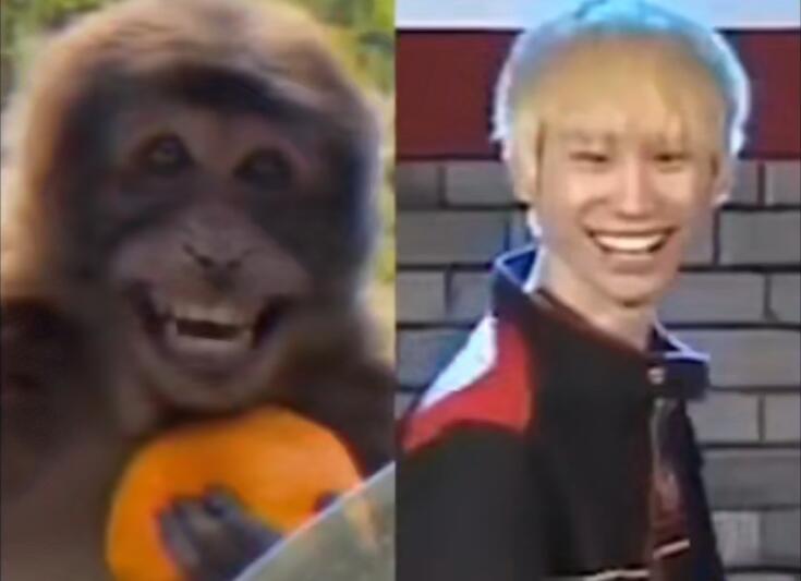 doinb为什么叫猴子 doinb猴子图片对比 doinb为什么叫猴子 doinb猴子图片对比