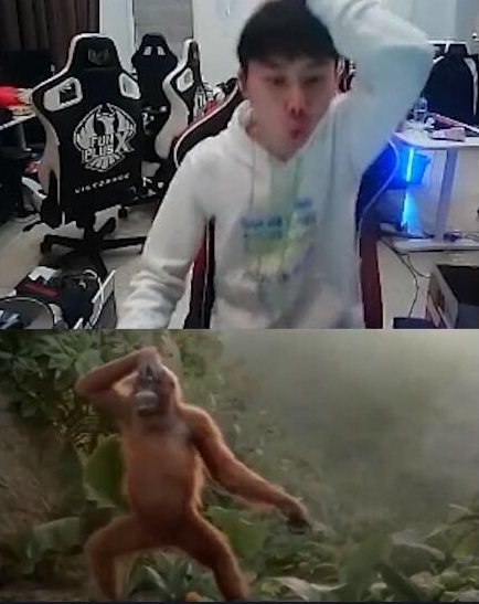 doinb为什么叫猴子 doinb猴子图片对比 doinb为什么叫猴子 doinb猴子图片对比