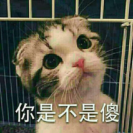 脑子瓦特了 脑子瓦特了