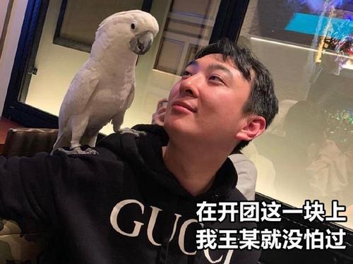 正版打野 正版打野