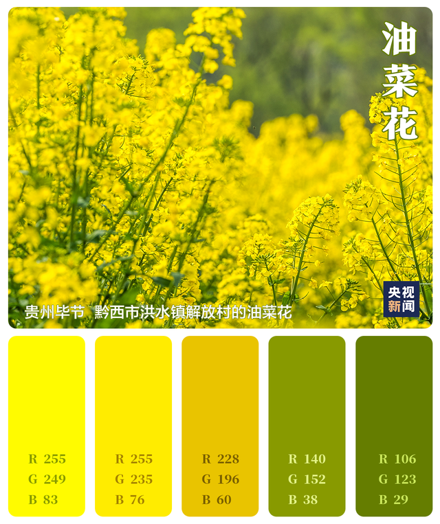 色卡里的春天 色卡里的春天