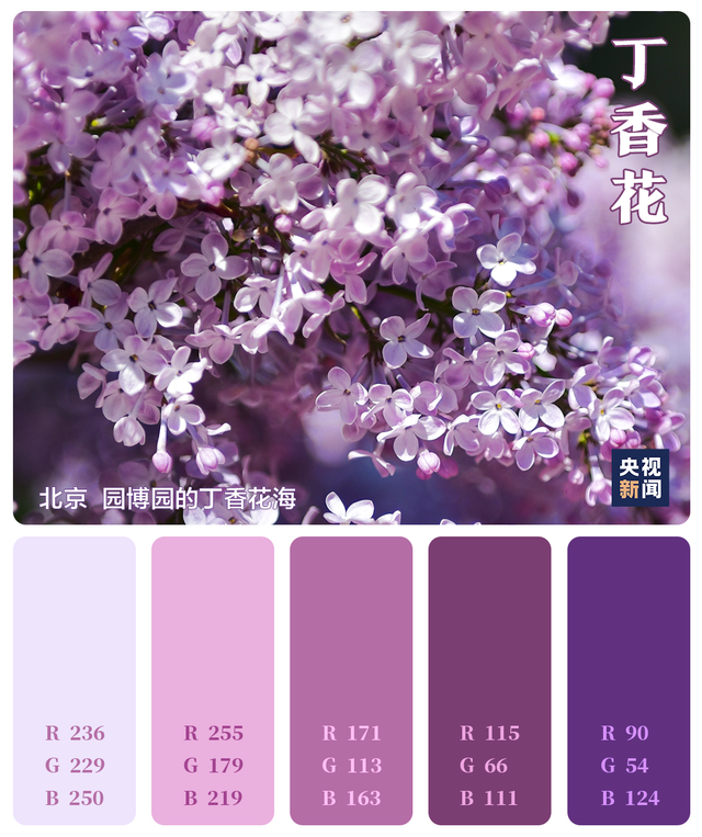 色卡里的春天 色卡里的春天