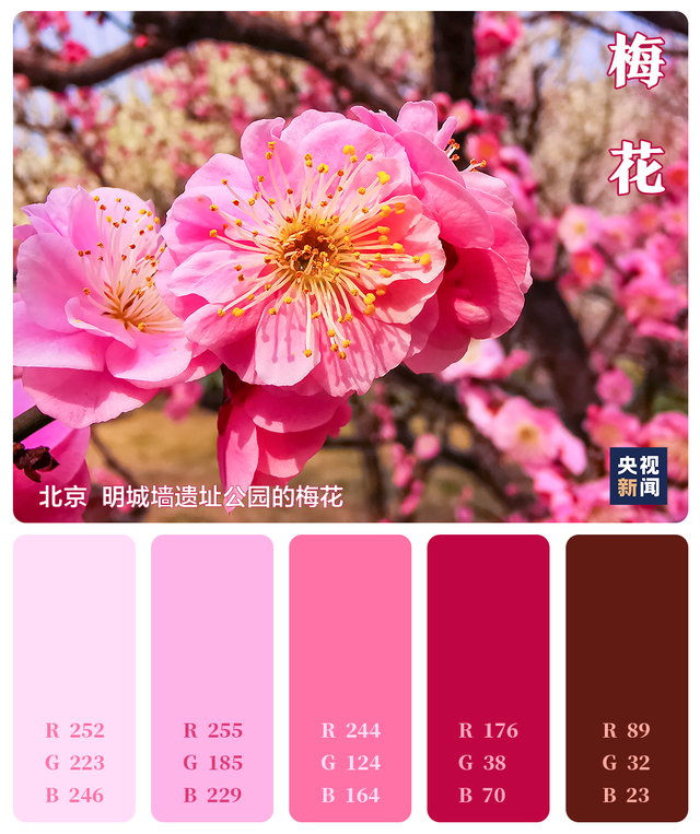 色卡里的春天 色卡里的春天