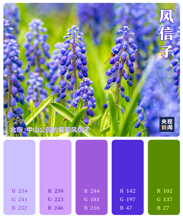 色卡里的春天 色卡里的春天