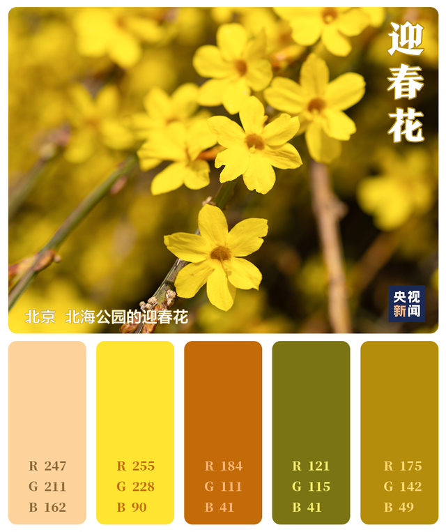 色卡里的春天 色卡里的春天