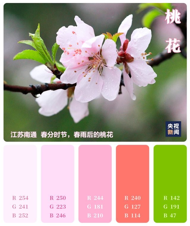 色卡里的春天 色卡里的春天