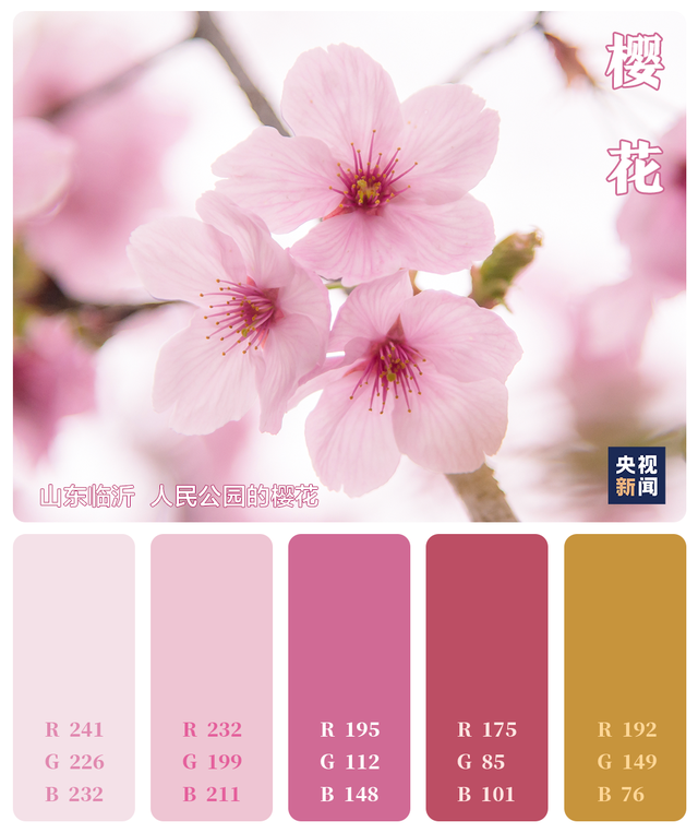 色卡里的春天 色卡里的春天