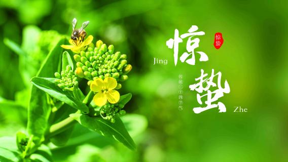 惊蛰 惊蛰