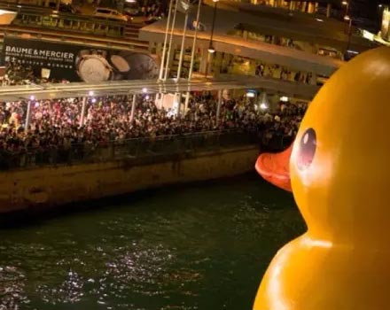 愚蠢的人类 愚蠢的人类