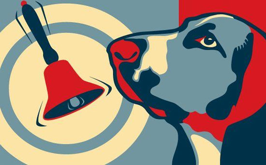 巴甫洛夫的狗 巴甫洛夫的狗