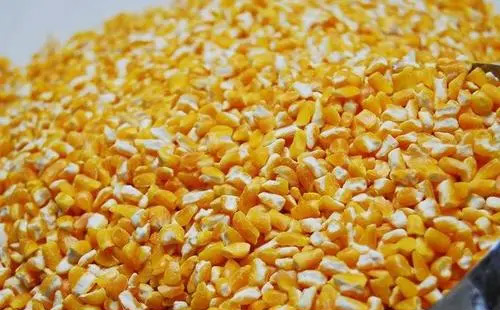 大碴子味 大碴子味