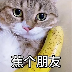 蕉个朋友 蕉个朋友