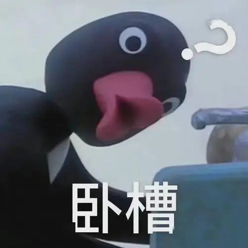 Noot Noot是什么梗? Noot Noot是什么梗?
