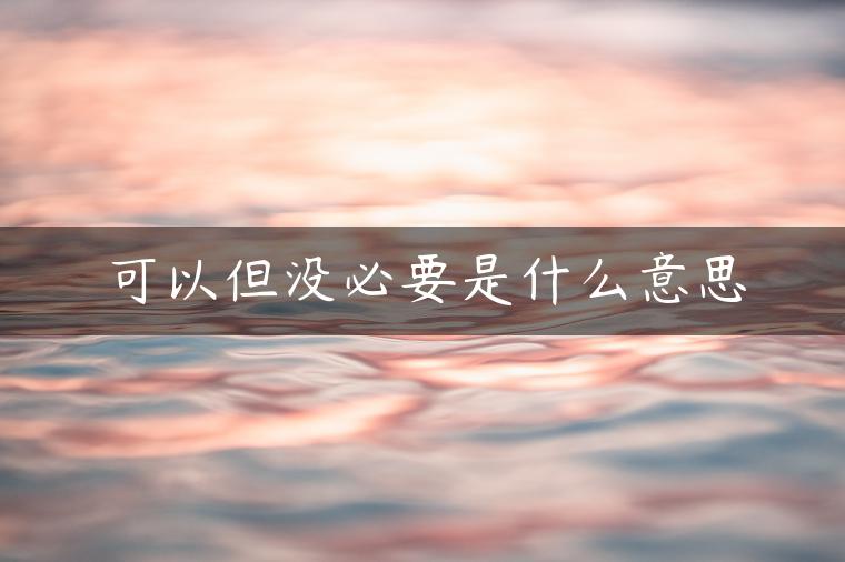 可以但没必要是什么意思