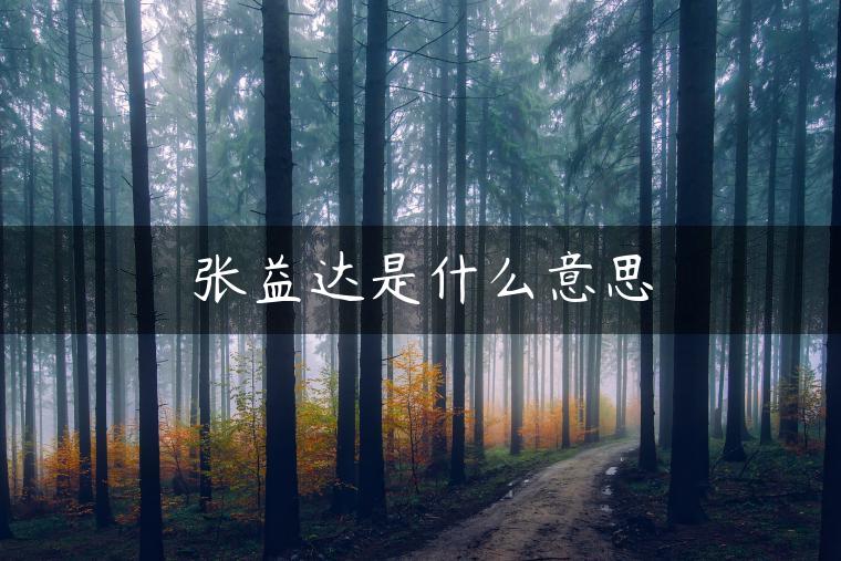 张益达是什么意思