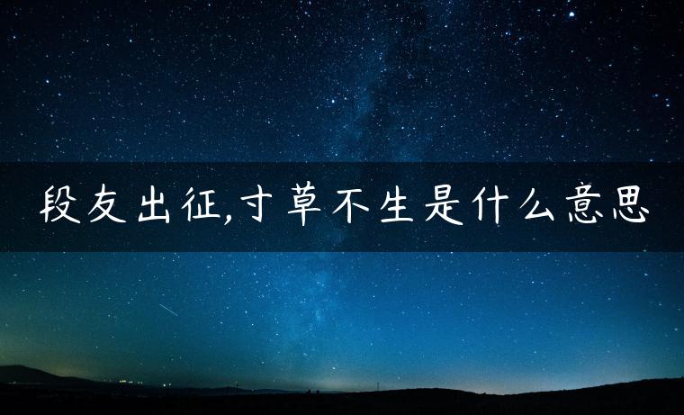 段友出征,寸草不生是什么意思