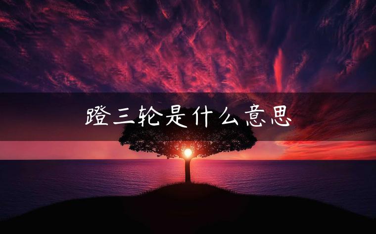 蹬三轮是什么意思