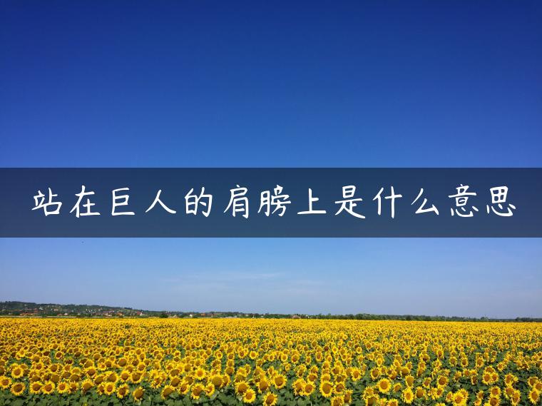 站在巨人的肩膀上是什么意思