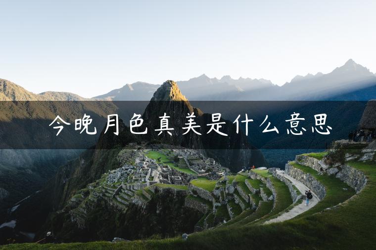 今晚月色真美是什么意思