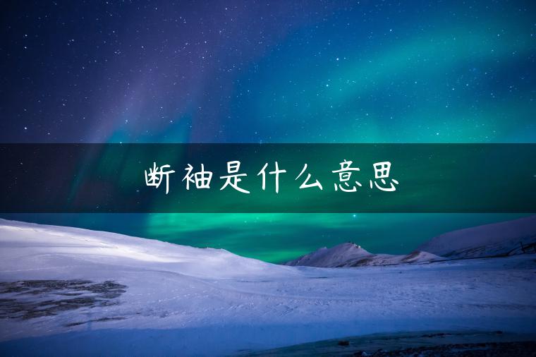 断袖是什么意思 断袖是什么意思