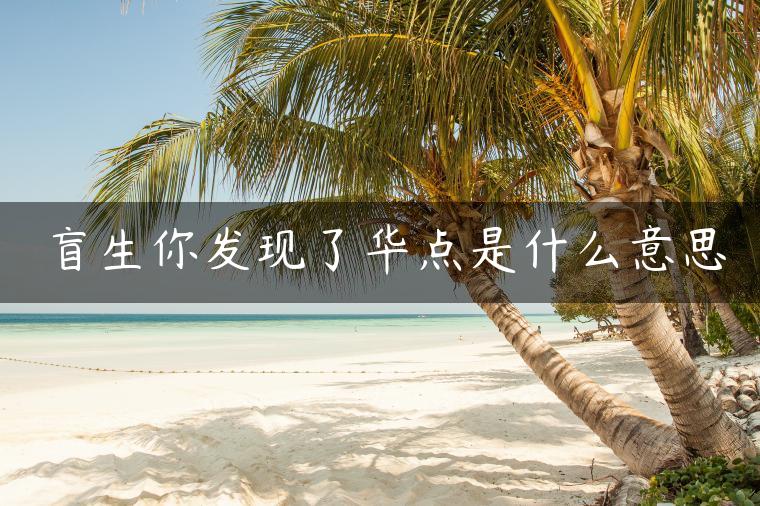 盲生你发现了华点是什么意思