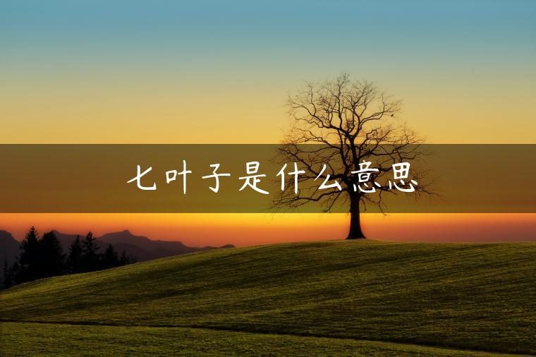 七叶子是什么意思