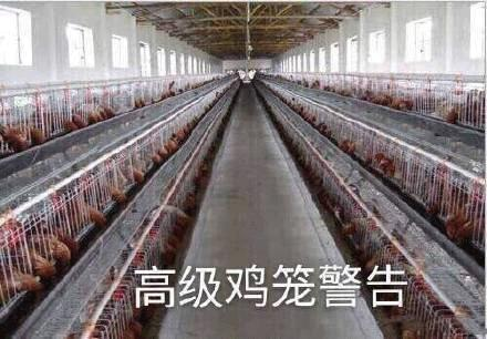 鸡笼警告是什么意思