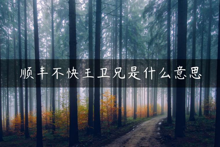 顺丰不快王卫兄是什么意思