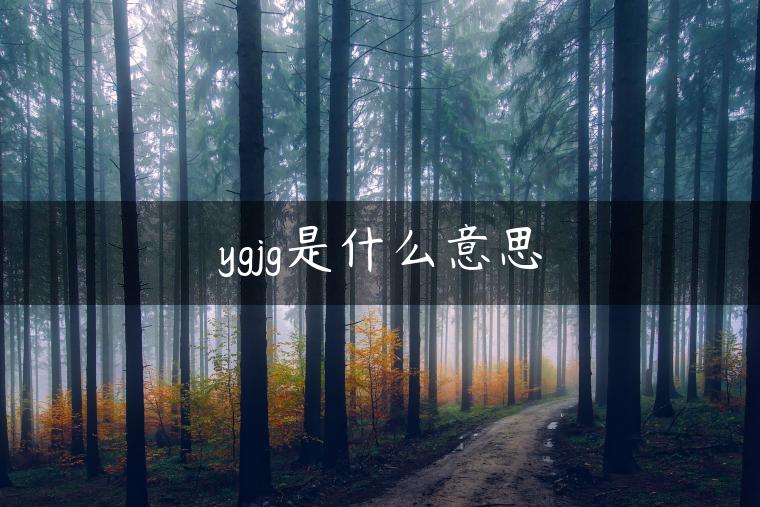 ygjg是什么意思