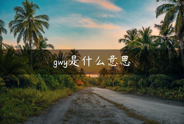 gwy是什么意思