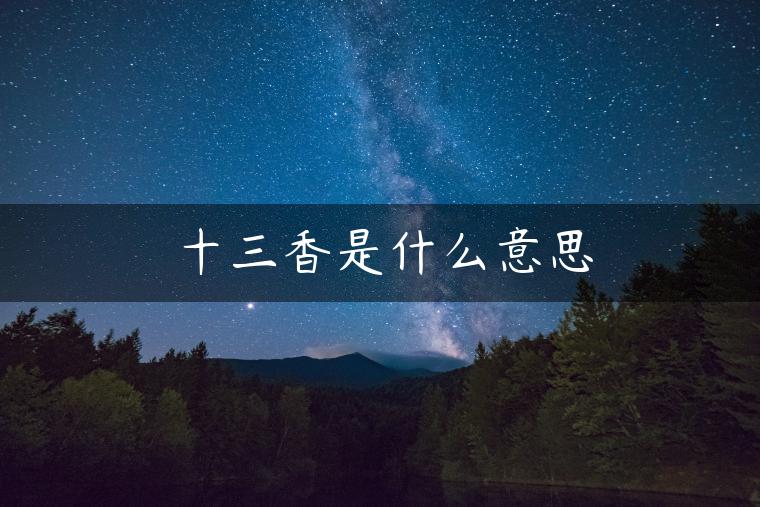 十三香是什么意思