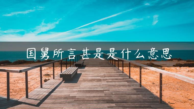 国舅所言甚是是什么意思 国舅所言甚是是什么意思