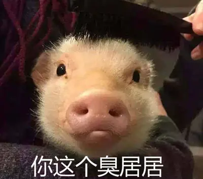 臭居居是什么意思 臭居居是什么意思