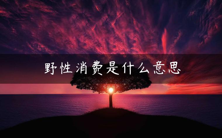 野性消费是什么意思