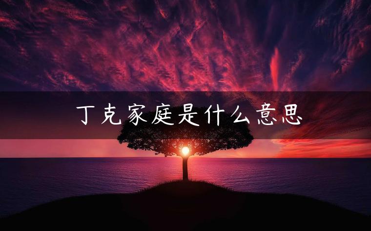 丁克家庭是什么意思