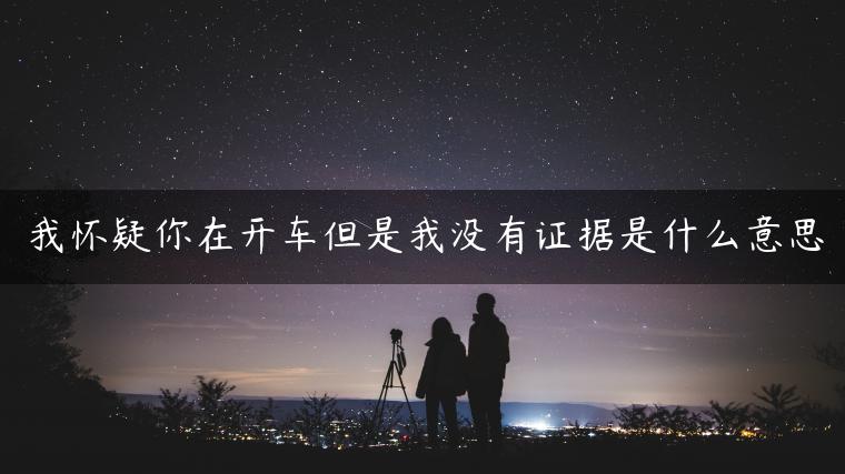 我怀疑你在开车但是我没有证据是什么意思