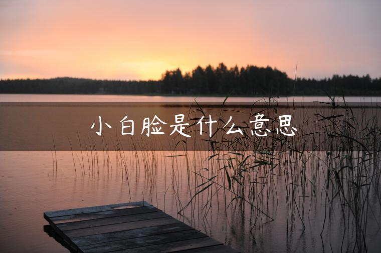 小白脸是什么意思 小白脸是什么意思
